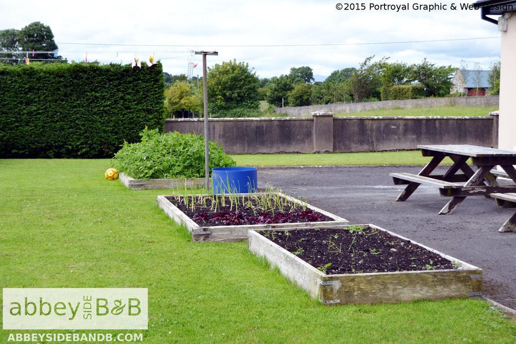 Abbeyside B&B バリントバー エクステリア 写真