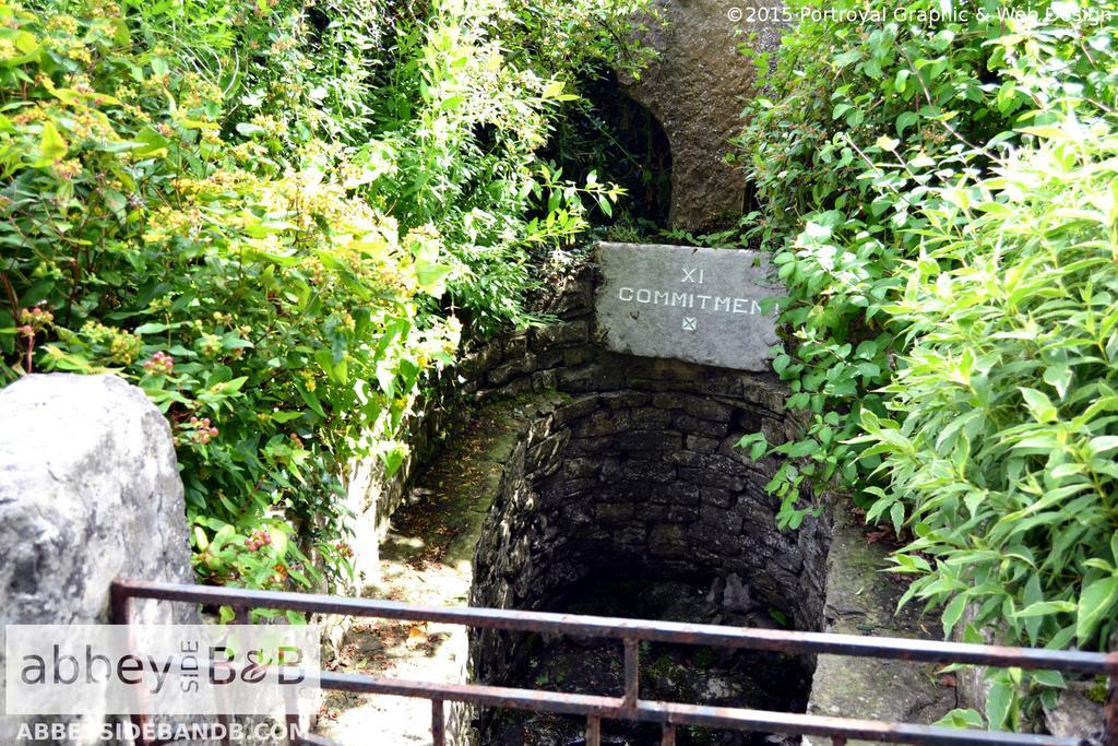 Abbeyside B&B バリントバー エクステリア 写真